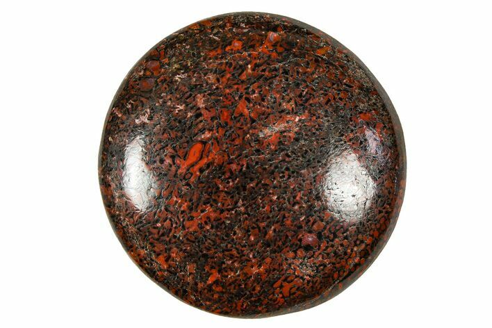 Polished Dinosaur Bone (Gembone) Cabochon - Colorado #370750
